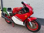 Ducati - 750 F1 - Tricolore - 750 cc - 1989