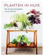 Planten in huis 9789022334065 Sophie Lee, Boeken, Verzenden, Zo goed als nieuw, Sophie Lee