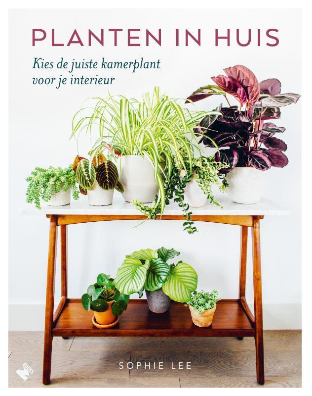 Planten in huis 9789022334065 Sophie Lee, Boeken, Hobby en Vrije tijd, Zo goed als nieuw, Verzenden