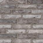 Wienerberger Saturn Grijs Handvorm Ecobrick, Doe-het-zelf en Verbouw, Metselstenen, Verzenden, Nieuw
