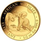 Gouden Somalische Olifant 1/2 oz 2024, Postzegels en Munten, Munten | Afrika, Verzenden, Overige landen, Losse munt, Goud