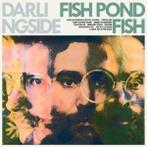 cd - darlingside  - FISH POND FISH (nieuw)