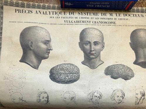 Fossati/Gall - Superlative medical poster: Précis analytique, Antiek en Kunst, Antiek | Boeken en Bijbels