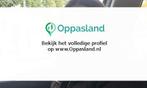 Ik ben Anna, 17 jaar oud en ik zoek oppaswerk in Zutphen.