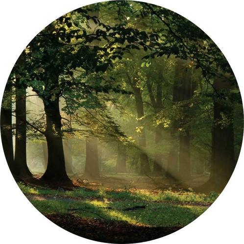 Behangcirkel Bos met zonnestralen, muurcirkel, Muurdeco4kids, Huis en Inrichting, Stoffering | Behang, minder dan 10 m², Ophalen of Verzenden