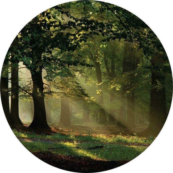 Behangcirkel Bos met zonnestralen, muurcirkel, Muurdeco4kids, Huis en Inrichting, Stoffering | Behang, minder dan 10 m², Ophalen of Verzenden