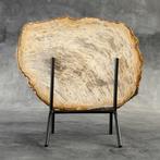 Prachtig stuk versteend hout op een op maat gemaakte, Antiek en Kunst