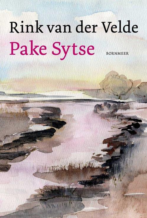 9789464712148 Pake Sytse Rink van der Velde, Boeken, Studieboeken en Cursussen, Nieuw, Verzenden