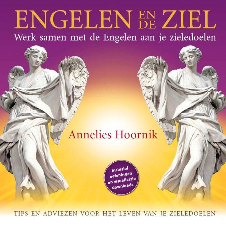 Engelen en de ziel 9789079995127 Annelies Hoornik, Boeken, Esoterie en Spiritualiteit, Gelezen, Verzenden