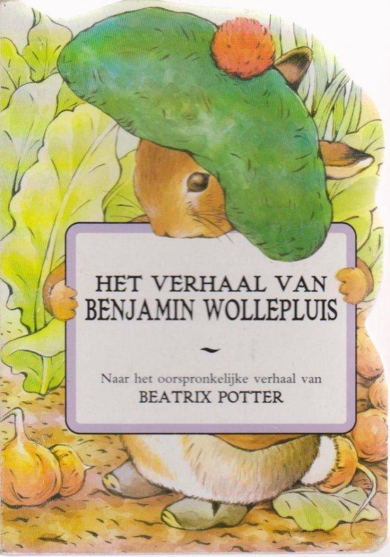 Het Verhaal van Benjamin Wollepluis 9789041009111, Boeken, Overige Boeken, Gelezen, Verzenden