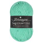 Scheepjes Truly Scrumptious - 340 Mint Whoopie Pie - Garen, Ophalen of Verzenden, Nieuw