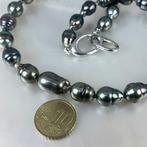 Halsketting Zilver Parel - Tahiti multi Ø9,1x10,65mm, Nieuw