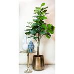 Kunstplant - Ficus Lyrata - Tabaksplant - 180 cm, Huis en Inrichting, Verzenden, Nieuw