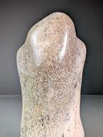 Sauropod botfragment beeldhouwwerk - Fossiel bot - Sauropoda