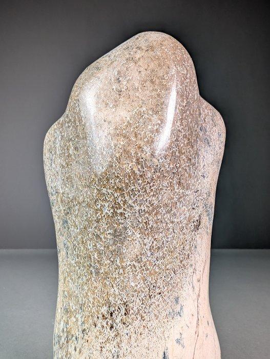 Sauropod botfragment beeldhouwwerk - Fossiel bot - Sauropoda, Verzamelen, Mineralen en Fossielen