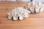 verzamelobject  unieke kleur  2 complete moordschelp, Nieuw