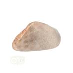 Fossiel Koraal trommelsteen Nr 15  - 21 gram, Verzenden, Nieuw