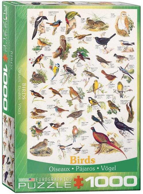 Birds Puzzel (1000 stukjes) | Eurographics - Puzzels, Hobby en Vrije tijd, Denksport en Puzzels, Nieuw, Verzenden