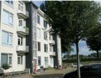 Te Huur 2 Kamer Appartement Reigerstraat In Dordrecht