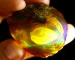 240 cts - Zeldzame enorm mooie Contraluz Crystal Opal Ruw