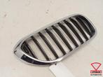 BMW 5 Serie G30 G31 Grille Nieren Rechts 51138070470, Ophalen, Gebruikt, Rechts, BMW