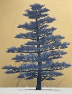 Tree scene 137 - Hajime Namiki  (b 1947) - Japan
