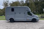 Ford Transit Krismar  Horsetruck, Verzenden, Nieuw