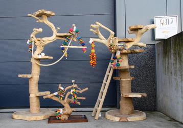 Speelboom beschikbaar voor biedingen