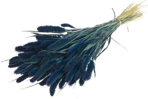 Setaria Trosgierst Siergras Dark Blue, Huis en Inrichting, Woonaccessoires | Kunstplanten en Kunstbloemen, Nieuw, Ophalen of Verzenden