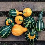 Pear Mixed kleinverpakking zaden, Ophalen of Verzenden, Nieuw