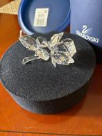 Swarovski - Beeldje - Rose - 174956 - Boxed - Kristal