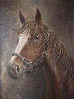 Europese school (XX) - The portrait of a horse