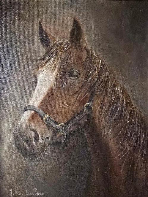 Europese school (XX) - The portrait of a horse, Antiek en Kunst, Kunst | Schilderijen | Klassiek