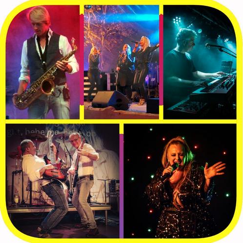 €999,00 voor een professionele Coverband of Bruiloftsband., Diensten en Vakmensen, Muzikanten, Artiesten en Dj's, Band, Dj, Orkest