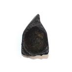 Oud-Romeins Brons halbrelief met Attis-kop - 30 mm, Antiek en Kunst