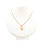 Gouden hanger van een voetbal met schoen (sport), Ophalen of Verzenden, Gebruikt, Goud, Overige merken