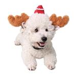 Kersthaarband voor hond of kat bruin gewei pluche met ker..., Ophalen of Verzenden, Nieuw