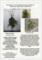 DIY Werkbeschrijving Toef met Ster, Ophalen of Verzenden, Nieuw