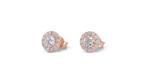 Oorbellen - 18 karaat Roségoud - 1.70ct. tw. Diamant, Nieuw
