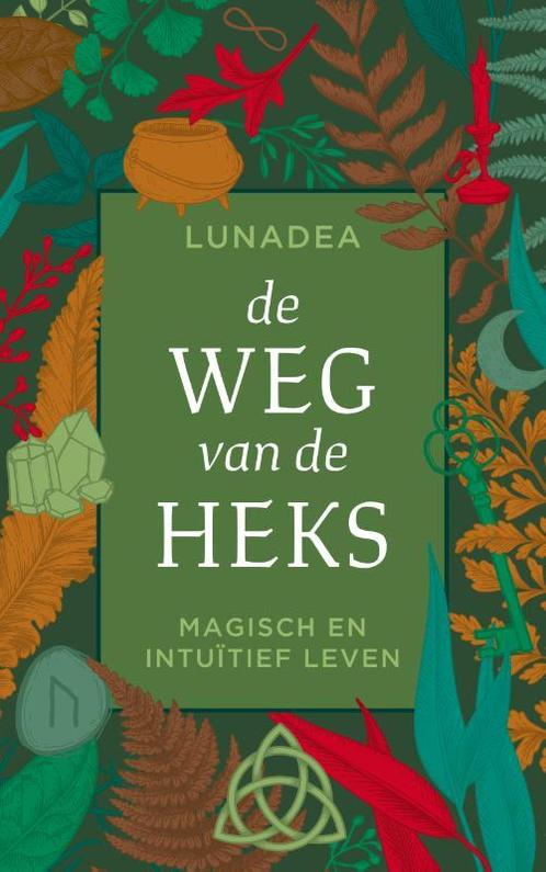 De weg van de heks 9789020216547, Boeken, Schoolboeken, Zo goed als nieuw, Verzenden