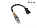 Lambda Sonde Aprilia Atlantic 250 2003-2009 (584344), Verzenden, Gebruikt