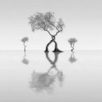 Eric Lespinasse - #169 - Minimalist Landscape