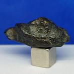 -Slechts 1959 g ter wereld- RUMURUTI Chondrite R3-6. NWA