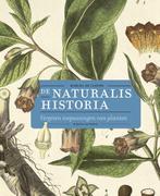 9789056157111 De Naturalis Historia Marcel Cleene, Boeken, Verzenden, Nieuw, Marcel Cleene