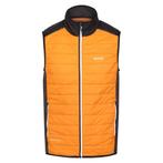 -73% Regatta  Regatta Heren halton vii gewatteerd gilet  maa, Kleding | Heren, Bodywarmers, Verzenden, Nieuw, Oranje