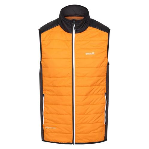 -73% Regatta  Regatta Heren halton vii gewatteerd gilet  maa, Kleding | Heren, Bodywarmers, Oranje, Nieuw, Verzenden