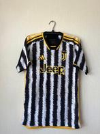 Juventus - Italiaanse voetbal competitie - Federico Chiesa -, Nieuw