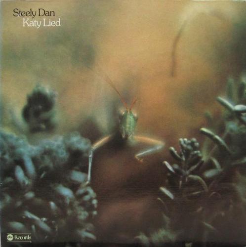 LP gebruikt - Steely Dan - Katy Lied, Cd's en Dvd's, Vinyl | Rock, Zo goed als nieuw, Verzenden