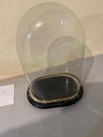 Globe - 1901-1920 - glazen koepel, Antiek en Kunst