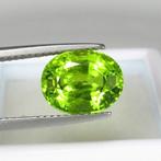 Geel, Groen Olivijn - 4.02 ct - nternational Colored, Sieraden, Tassen en Uiterlijk, Edelstenen, Nieuw